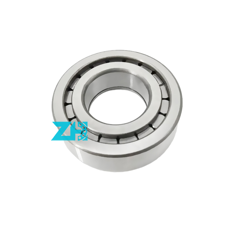 محامل المضخة الهيدروليكية F-203740.nup 25x54x21mm محامل أوراق أسطوانية من صف واحد F-203740