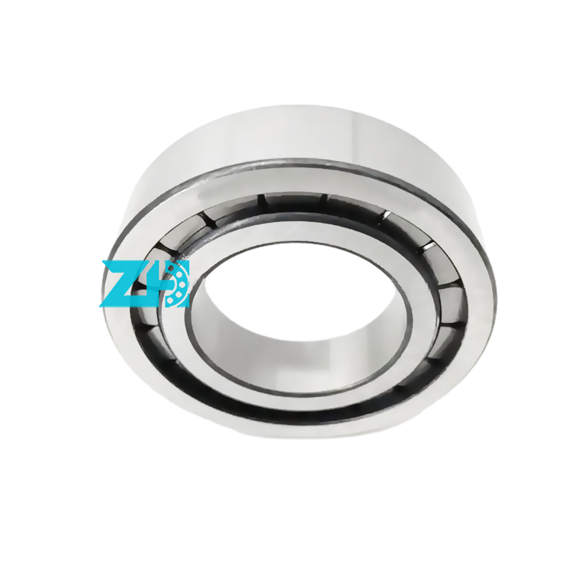 محامل المضخة الهيدروليكية F-203740.nup 25x54x21mm محامل أوراق أسطوانية من صف واحد F-203740