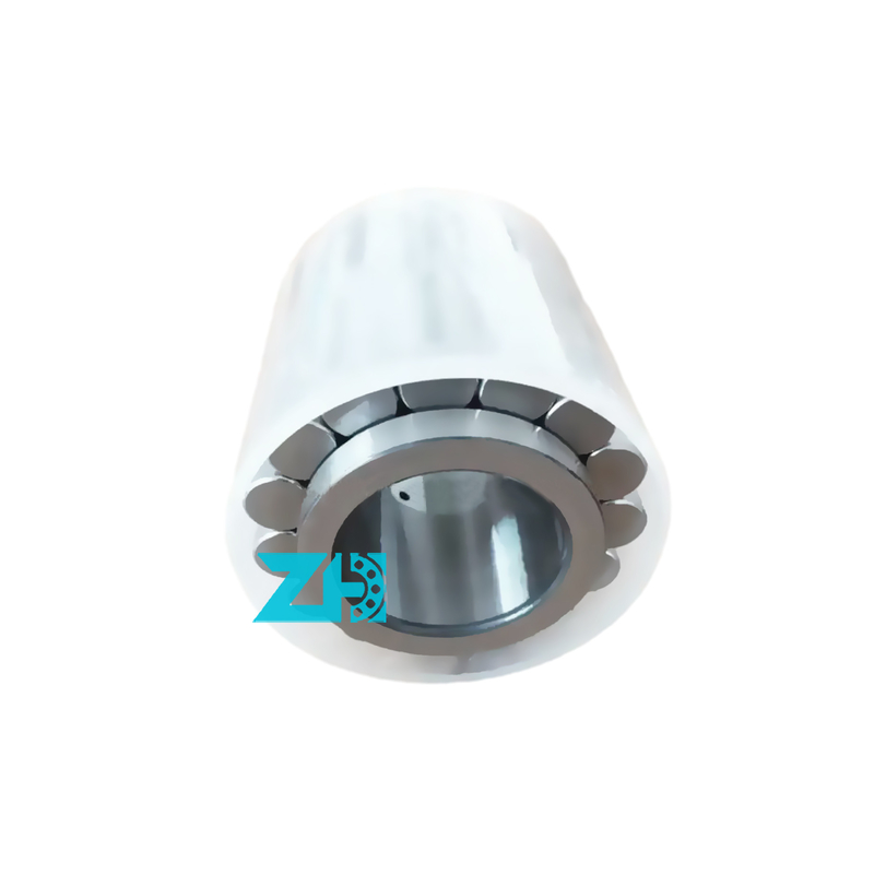 محامل أسطواني شعاعي مزدوج الصف F-238900.RNN محامل أسطواني أسطواني F-238900